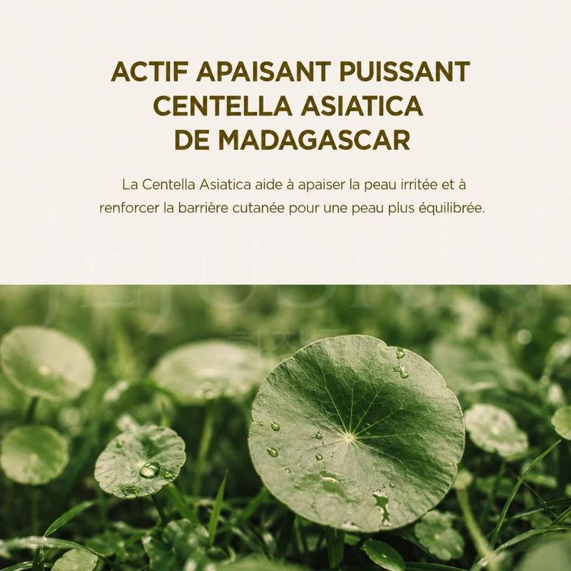 SKIN1004 - Crème apaisante à la Centella de Madagascar - 75ml