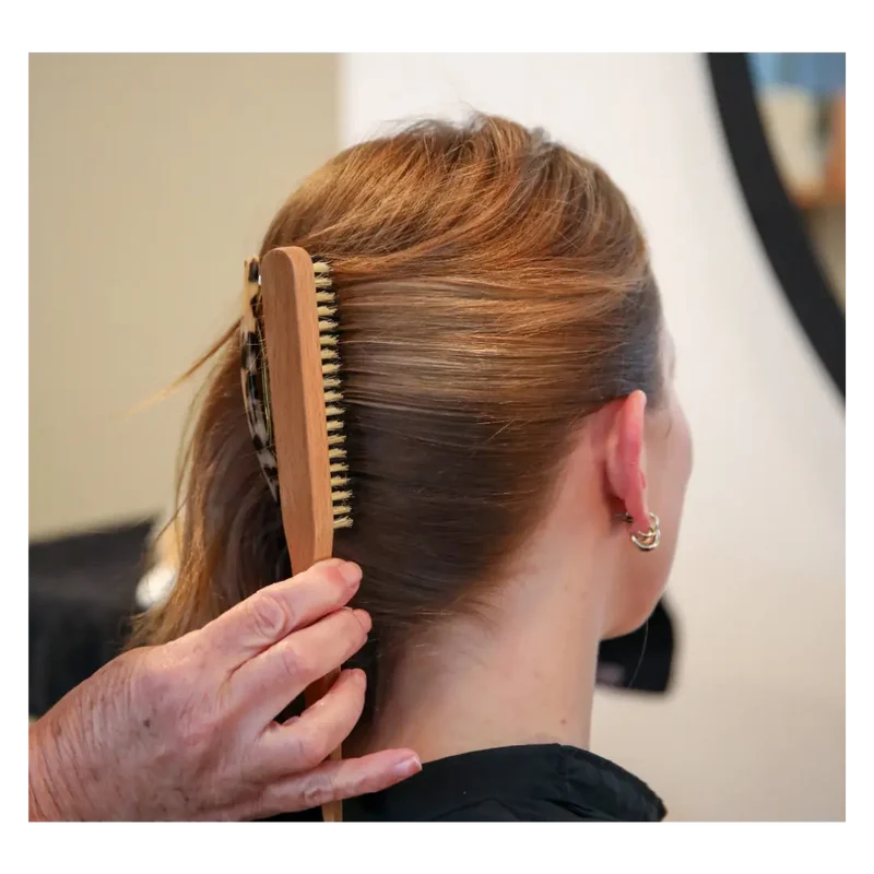 BROSSE PLAQUAGE