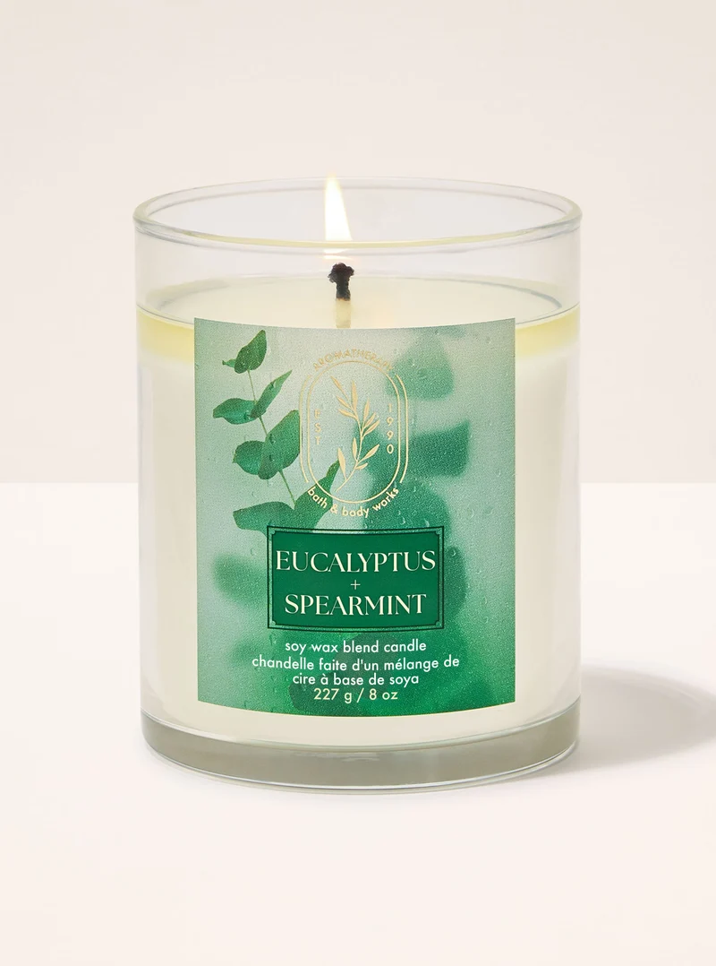 Eucalyptus Spearmint Single Wick Candle