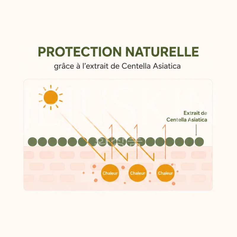 Mixsoon - Crème solaire apaisante à la centella SPF50+ - 50g