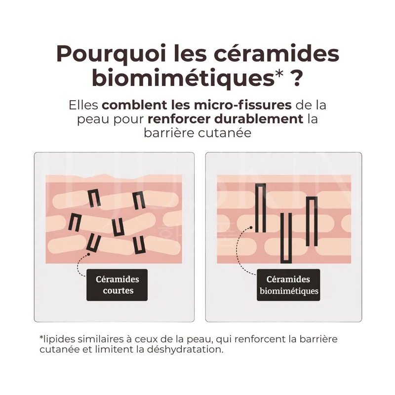 Dr. Reju-All - Crème hydratante et réparatrice aux Céramides - 50ml