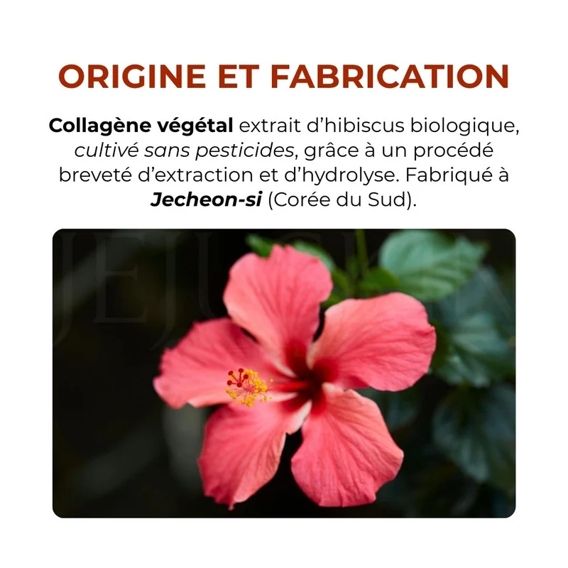 Mizon - Gelée de collagène végétal au raisin Inner’sBit - 14 sticks
