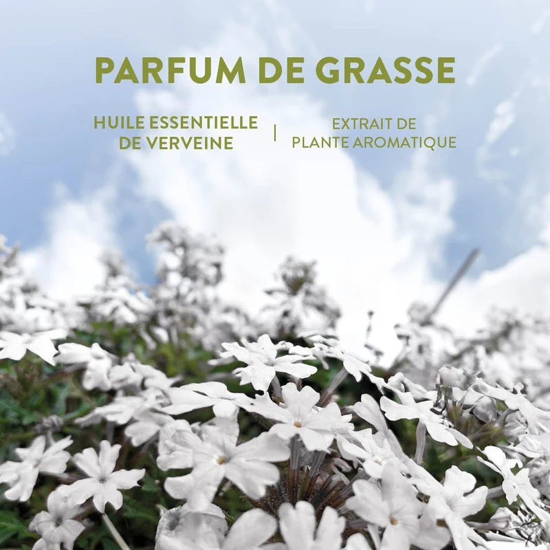 Eau de toilette roll-on - Huile Essentielle de Verveine 10ml