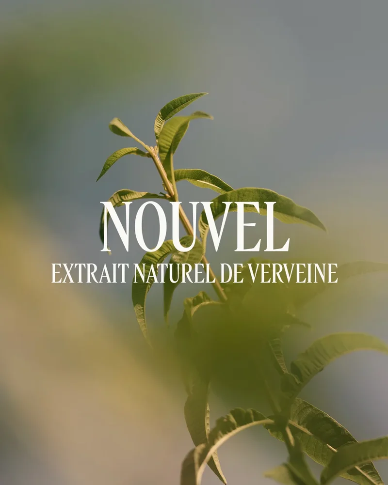 L'Occitane - Lait Corps parfumé Verveine
