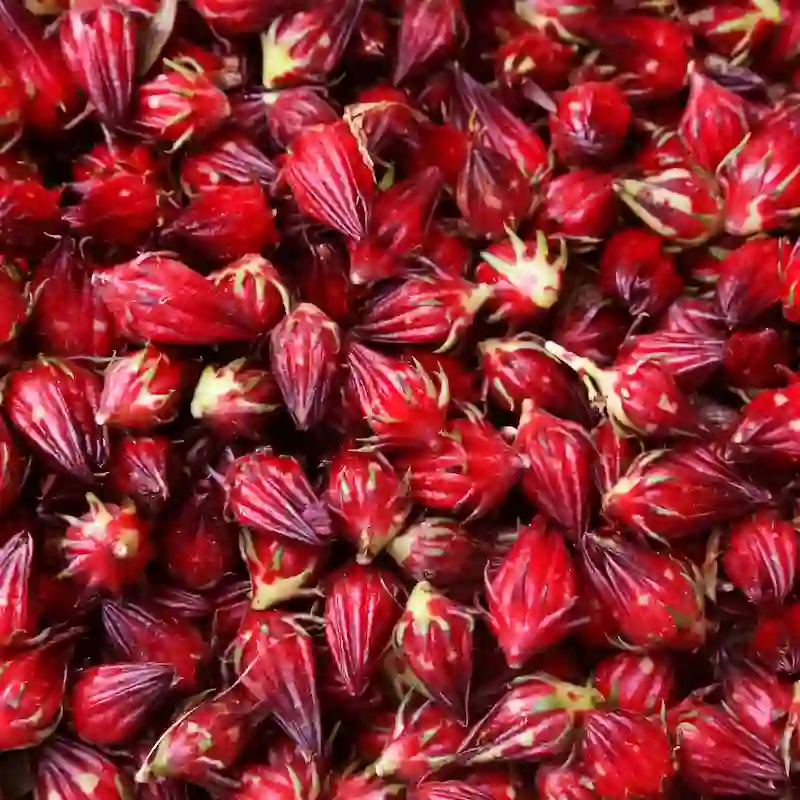 Huile d'Hibiscus BIO Rupulpante - Comptoir des Huiles