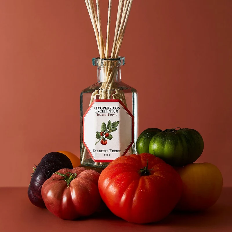 Carrière Frères - Diffuseur Tomate