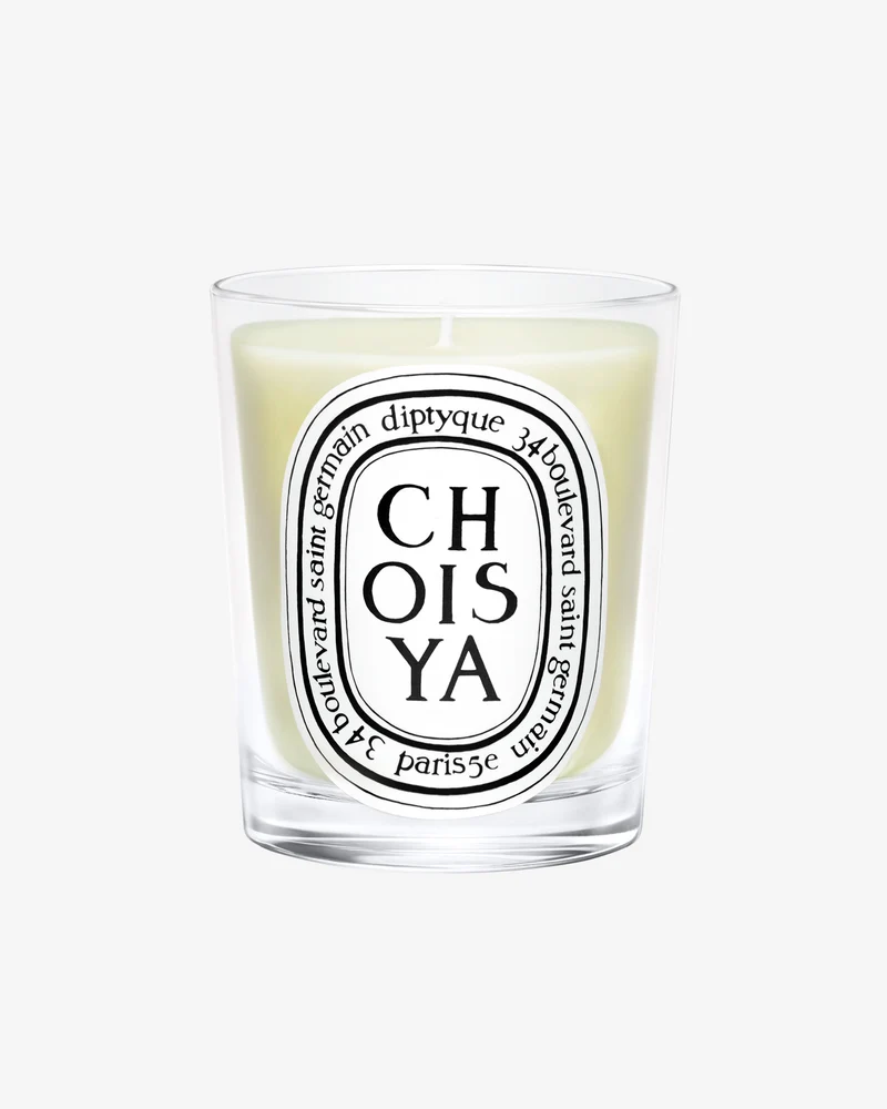 Choisya Candela