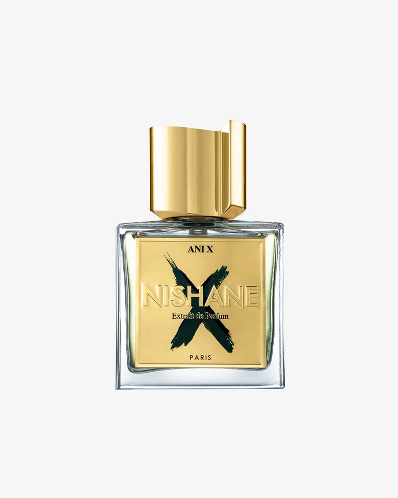 Anì X