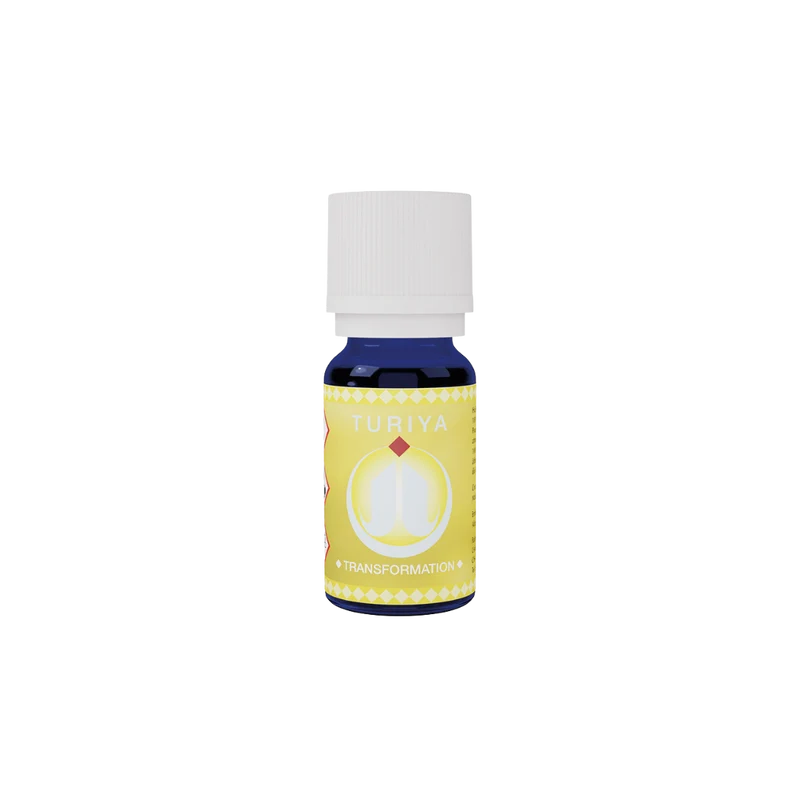 Transformation - 3° Chakra