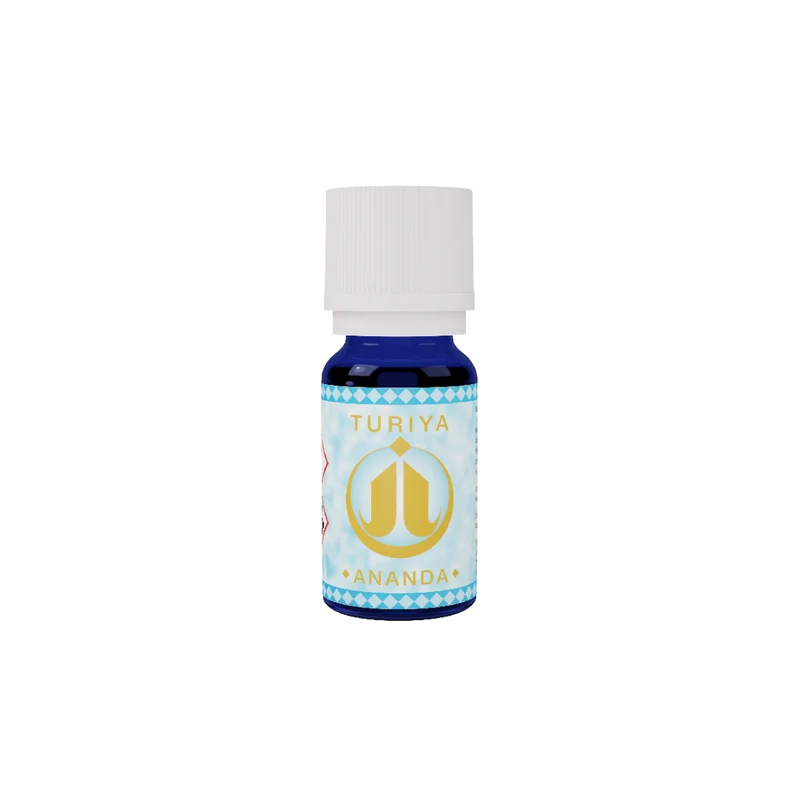 Synergie Ananda
