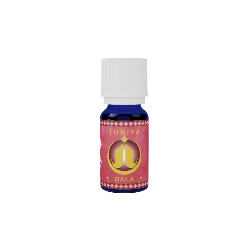 Synergie Bala