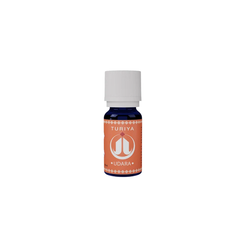 Synergie Udara