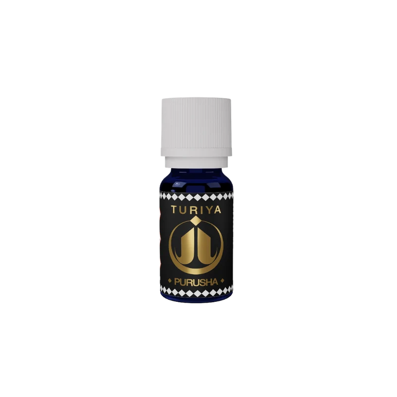 Synergie Purusha