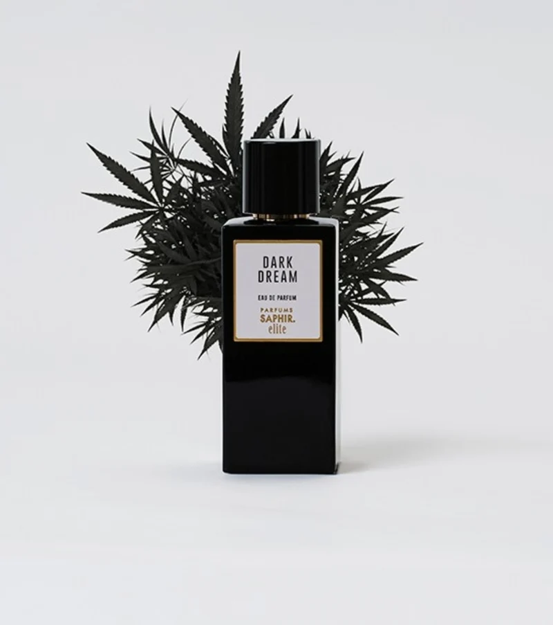 Saphir Elite Dark Dream Eau de Parfum 100 ml — Eau de Parfum