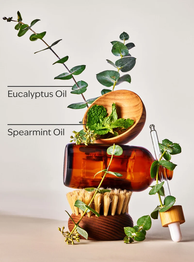 Eucalyptus Spearmint Sugar Body Scrub