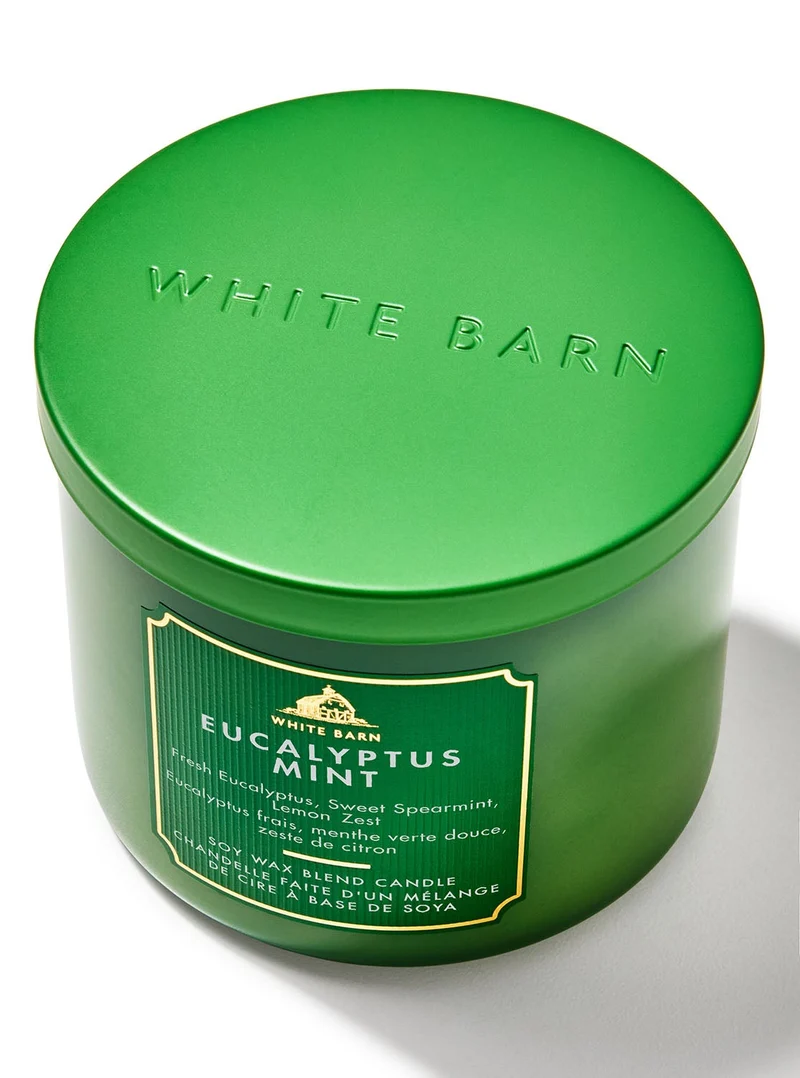Eucalyptus Mint 3-Wick Candle