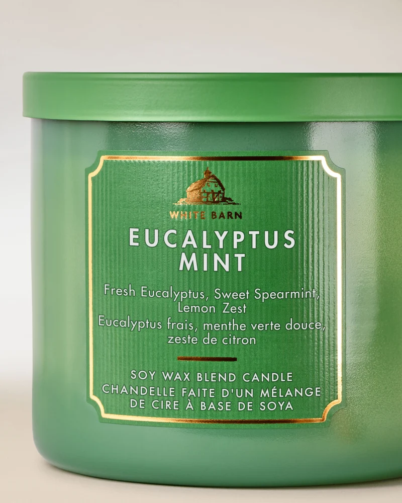 Eucalyptus Mint 3-Wick Candle