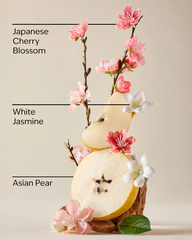 Japanese Cherry Blossom Lip Gloss