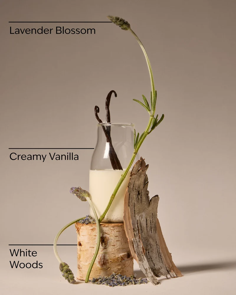 Lavender Vanilla Gift Set