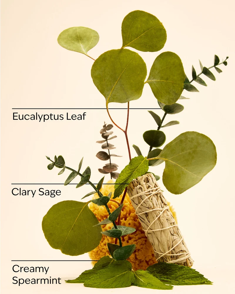 Eucalyptus Spearmint Gift Set