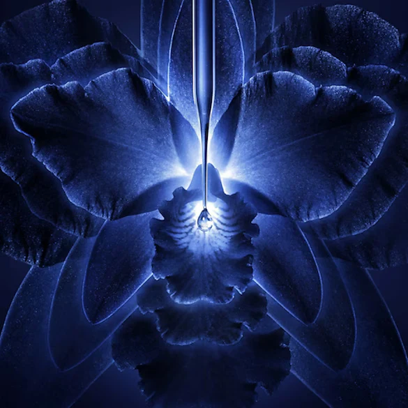 Guerlain Orchidée Impériale - La Crème Riche