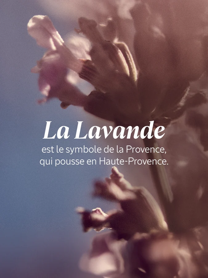 L'Occitane Gel douche Lavande 250ml