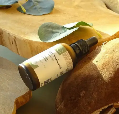Huile de Moringa Oleifera BIO - Comptoir des Huiles