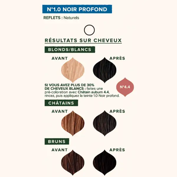 Coloration végétale Noir profond N°1.0 - Emblica