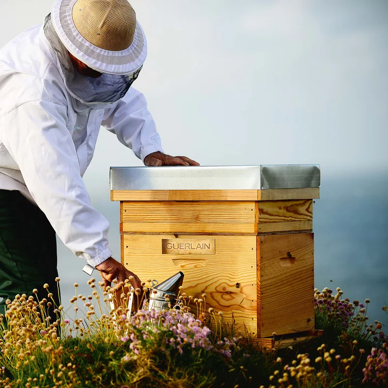 Guerlain Abeille Royale Honey Cataplasm Mask