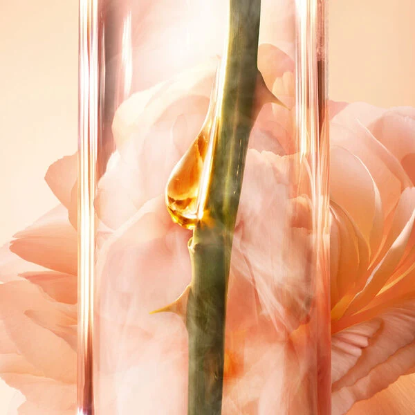 Lancôme Absolue - Le Sérum Concentré Intensif
