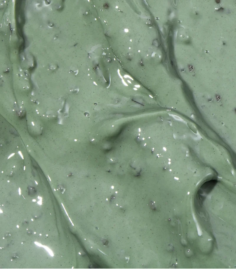 Masque clarifiant à l'artemisia (mudwort) 100ml