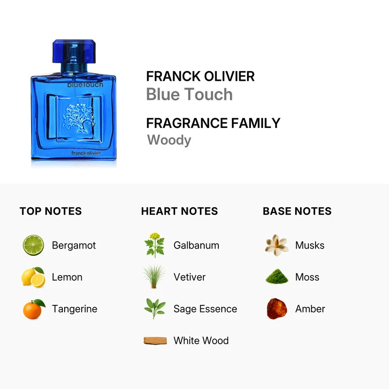 Franck olivier Blue Touch Eau de Toilette 100 ml — Eau de Toilette