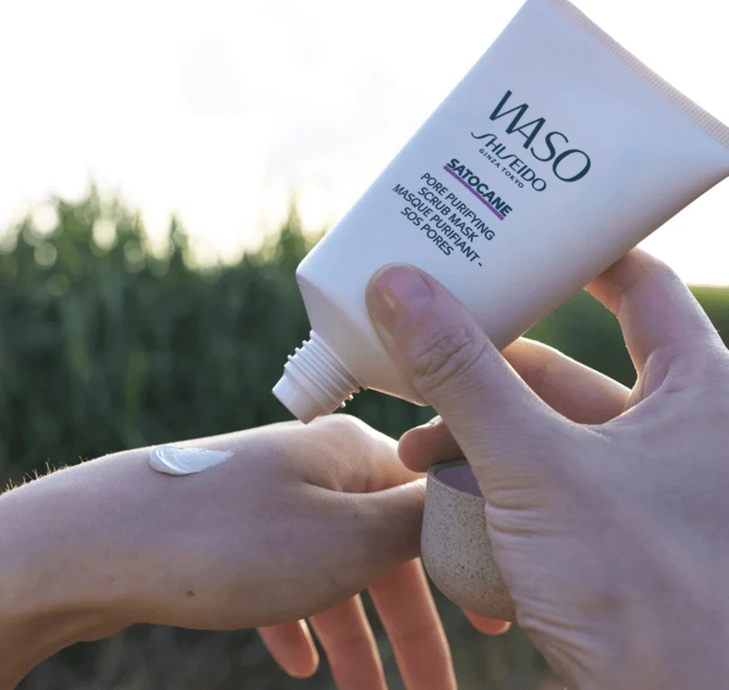 Shiseido Masque Purifiant