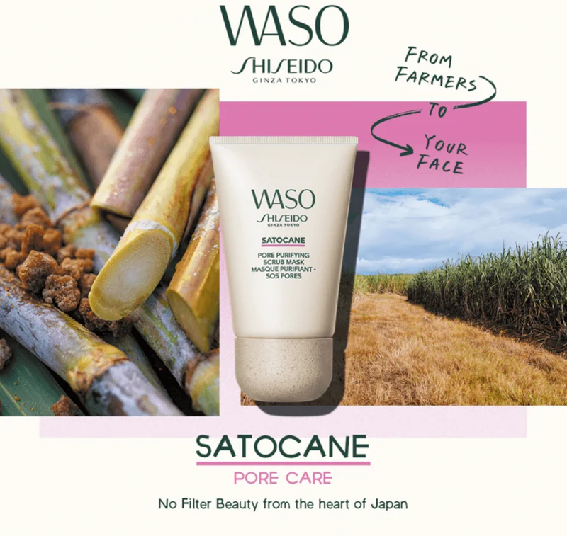 Shiseido Masque Purifiant