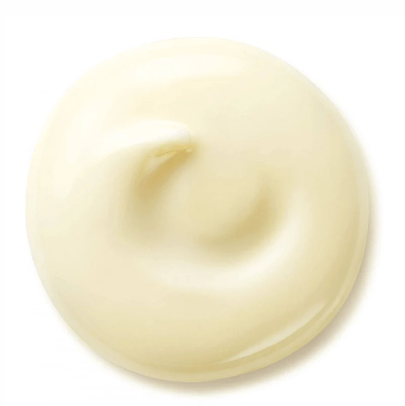 Shiseido Benefiance Crème Jour Lissante Anti-Rides SPF 25