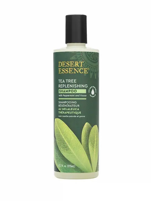 Shampoing Régénérateur au Tea Tree - Desert Essence