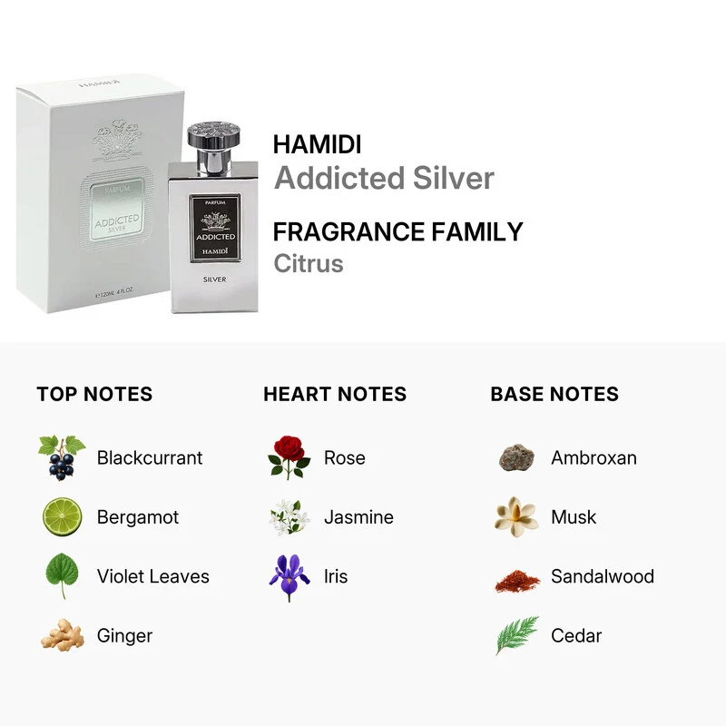Hamidi Addicted Silver 120 ml — Eau de Parfum Unisex
