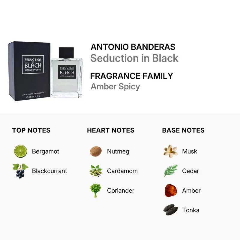 Antonio Banderas Seduction in Black Uomo 200 ml — Eau de Toilette