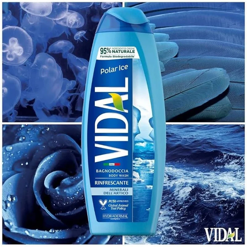 Vidal Bagnodoccia Polar Ice 500 ml — Bagnodoccia
