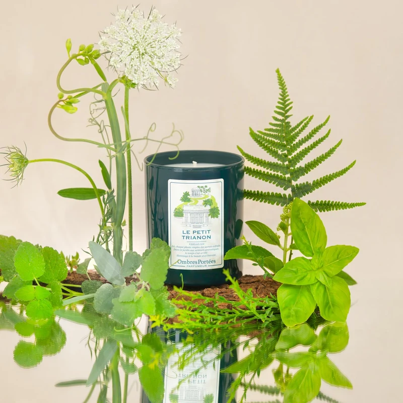 Bougie parfumée Le Petit Trianon 210g