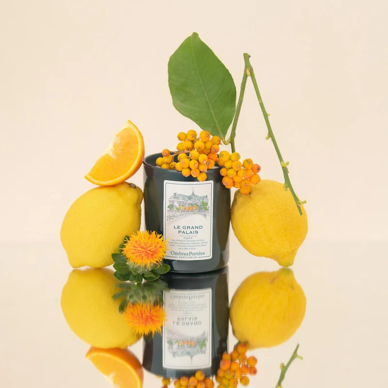 Bougie parfumée Le Grand Palais 210g