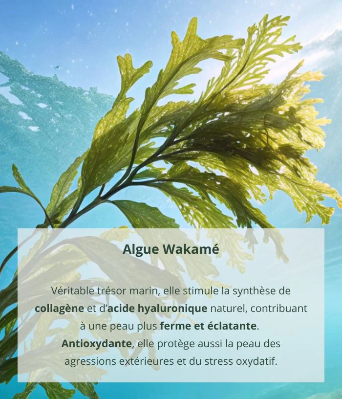 Crème de Beauté à l'Algue Wakamé