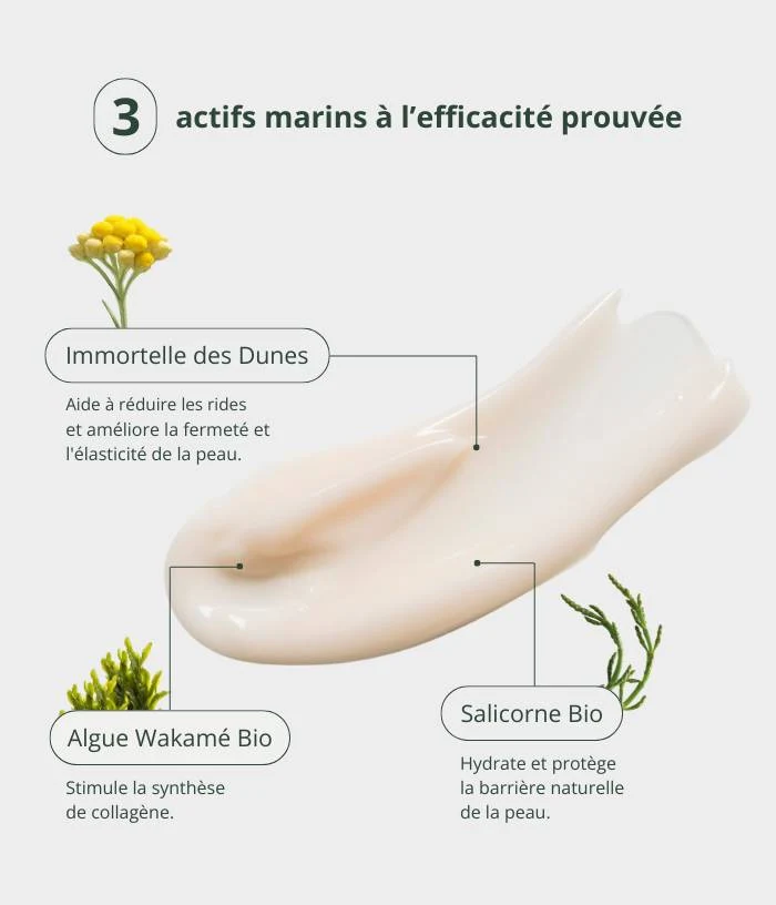 Crème anti-âge à l'immortelle des dunes
