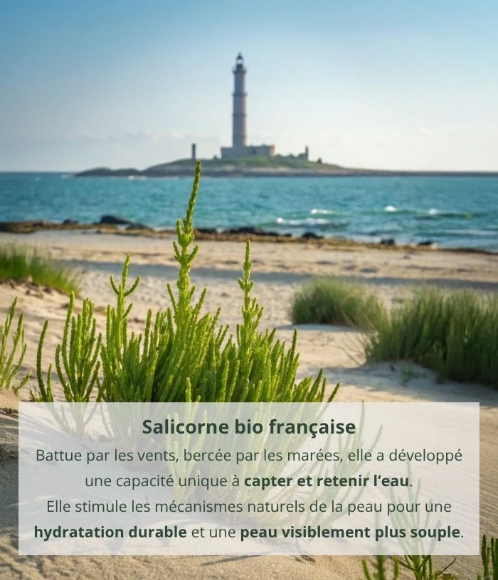 Crème Hydratante à la Salicorne