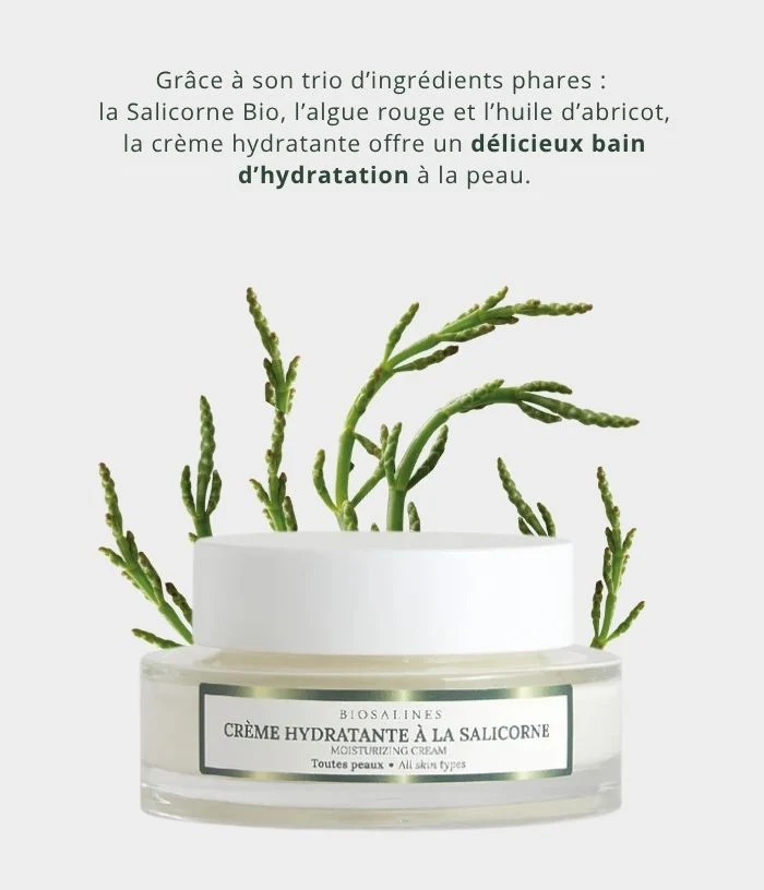 Crème Hydratante à la Salicorne