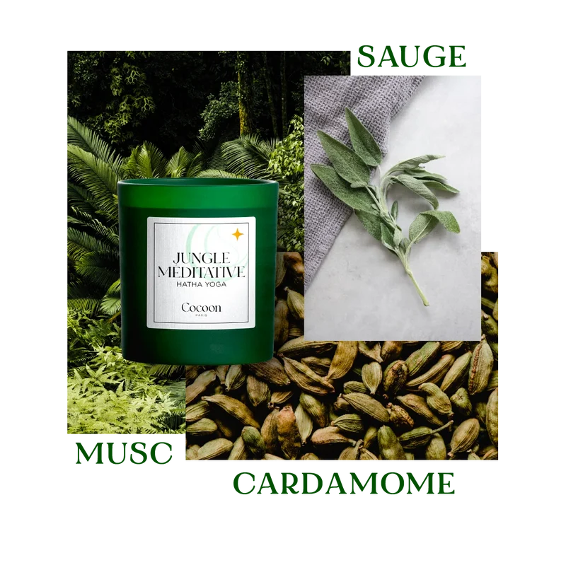 BOUGIE RELAXATION - JUNGLE MEDITATIVE