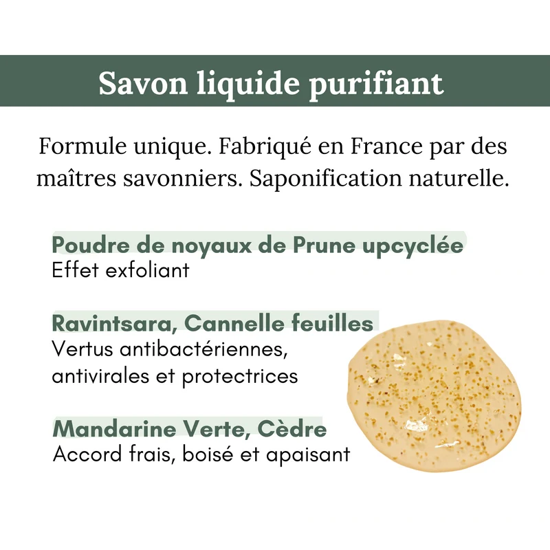 Savon Liquide Purifiant