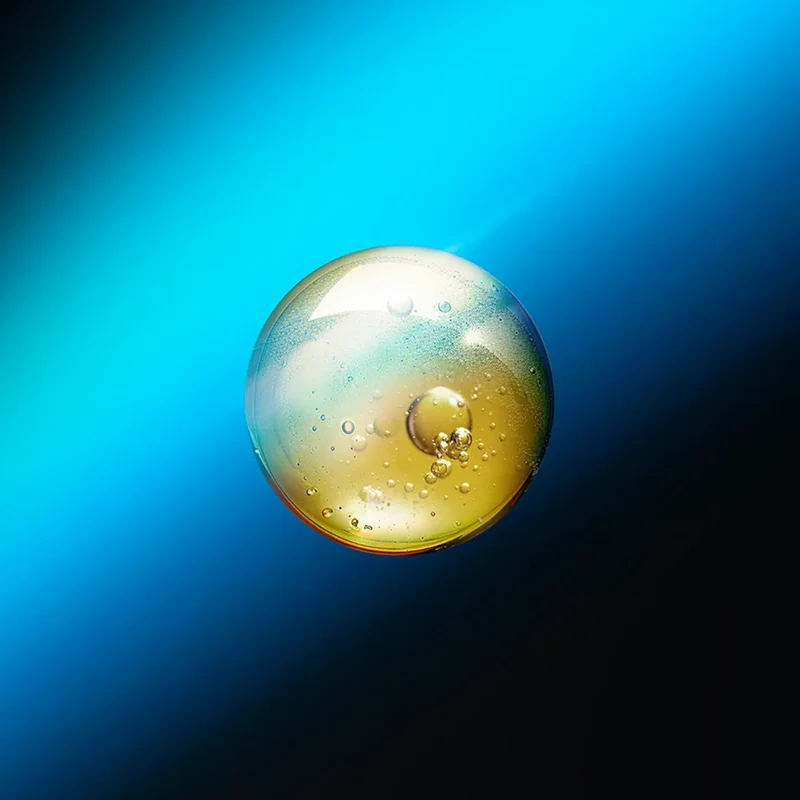 Elixir Nuit Régénérant