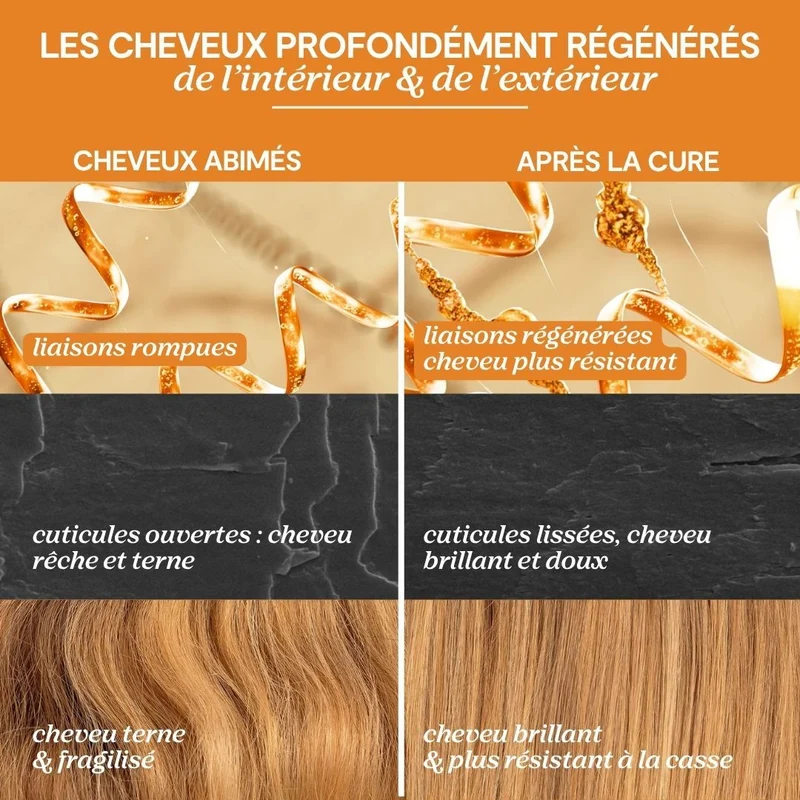 Cure régénérante complète - Intense Protein Bonding