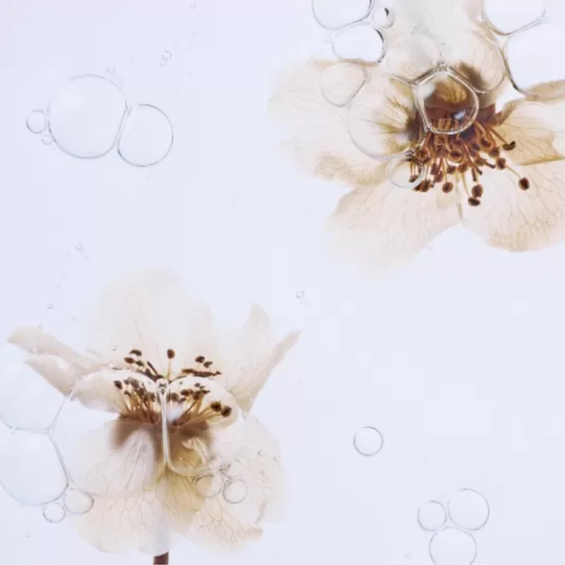 Essence Régénérante à la Fleur de Poirier